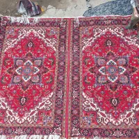 جفت هریس تاجری به هم چسبیده