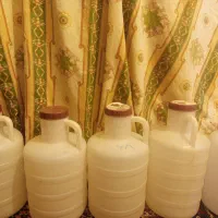 دبه خیارشور