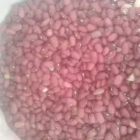 لوبیا قرمز  در دشت ارژن|خوردنی و آشامیدنی|شیراز, سجادیه|دیوار