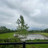 ویلا چوبی استخر روباز|اجارهٔ کوتاهمدت ویلا و باغ|تنکابن, |دیوار