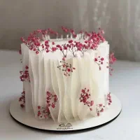 کیک خونگی باکیفیت با قیمت اقتصادی|خوردنی و آشامیدنی|کومله, |دیوار