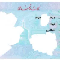 کارت ملی گم شده به اسم فواد اصلانی