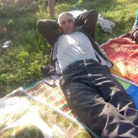 زمین|خدمات باغبانی و درختکاری|باسمنج, |دیوار