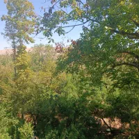 خیابان-عظیم-ویو-باغ-کم-واحد-شخصی-ساز