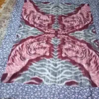 پتوی 4 پلنگه ملافه شده درفردیس
