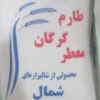 برنج طارم گرگان معطر برنج هاشمی معطردرجه یک گیلان