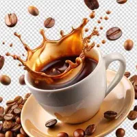 نیروی آشنا با کار قهوه فروشی