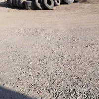 شراکت