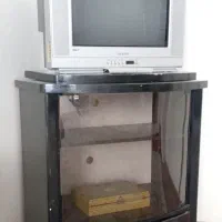 تلویزیون