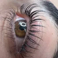 لیفت مژه و ابرو و تقویت مژه ابرو|خدمات آرایشگری و زیبایی|شیراز, کوی زهرا|دیوار