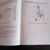 کتاب دریانوردی|کتاب و مجله آموزشی|منجیل, |دیوار