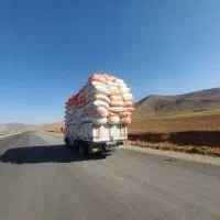 کاه گندم دیم|عمده‌فروشی|اصفهان, عباس‌آباد|دیوار