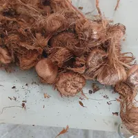 خریدوفروش