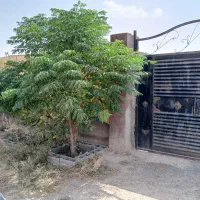 زمین528مترجهت-ساخت-ویلاوباغاتوگلخانه-ملکی-گنبدباز