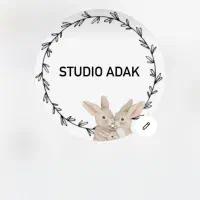 کاراموز عکاسی /و منشی خانم