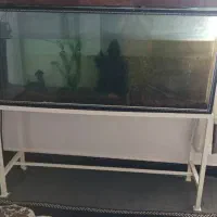 آکواریوم باتمام وسایل