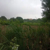 فروش باغ آبشینه