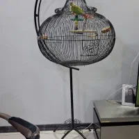 قفس آویز بزرگ طوطی با ساخت سفارشی|لوازم جانبی حیوانات|کرج, باغستان|دیوار