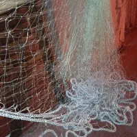 تور 12بغل نونو هستش یک بار هم داخل آب نیو افتاد