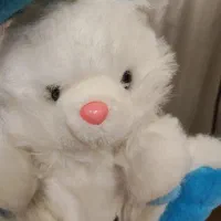 عروسک خرسی و بره ناقلا و خرگوش|اسباببازی بچه|اصفهان, پوریای ولی|دیوار