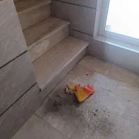 نظافت مشاعات ساختمان(پله و پیلوت)|خدمات نظافت|قزوین, |دیوار