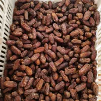 خرمای پیارم(کشتی)