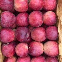 سیب زرد و قرمز