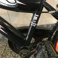 دوچرخه شارک در حد نو