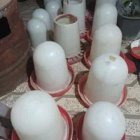 ظروف دان ‌ آبخوری مرغ . خروس