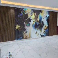 نقاشی ساختمان و کاغذدیواری|خدمات پیشه و مهارت|مشگین شهر, |دیوار