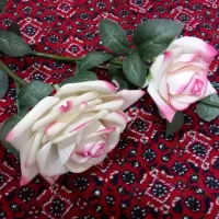 گل رز|گل مصنوعی|بیستون, |دیوار