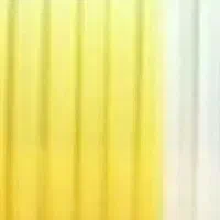 پرده|تور و چارتر|تربت جام, المهدی|دیوار