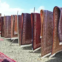 قالی شویی نظام آبادی نظام شهر  با سرویس حمل نقل