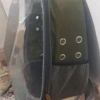 کیف مخصوص حیوون خانگی