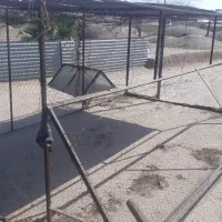 توردام|لوازم جانبی حیوانات|رفسنجان, |دیوار