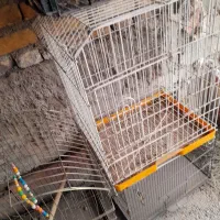 قفس پرنده 100و200