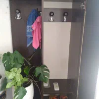 جا کفشی کمدی