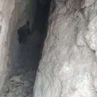 تقریبا سه کیلو عسل طبیعی اصل اصل کیلو ۳۵۰۰|خوردنی و آشامیدنی|لیکک, |دیوار