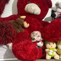خرس قرمز