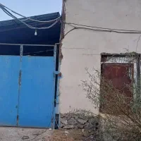 کارگر برای دامداری