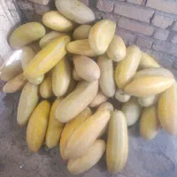 خربزه شیرین