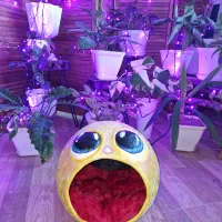 جای خواب گربه دستساز پاپیه ماشه فانتزی(ورق بزن)