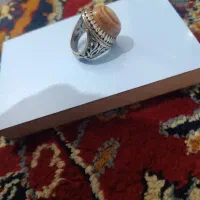 باباقوری سه پوست