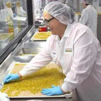 دستیار کارشناس  مسول دفتر  مدیر عامل|استخدام اداری و مدیریت|مشهد, ده دی|دیوار