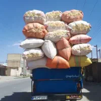 کاه گندم دیم