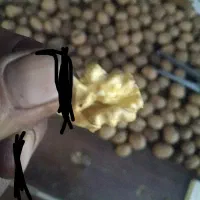 کاردر منزل واقعی بدون مهارت گردو بشکن پول بگیر|استخدام صنعتی، فنی، مهندسی|تهران, منیریه|دیوار