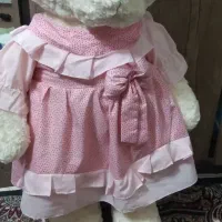 خرس شاسخین عروسک
