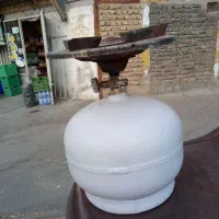 پیک نیک سالم تمیز