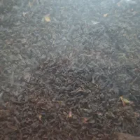 چای بهار درجه ۱