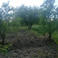 اجاره کارگاه یا انبار